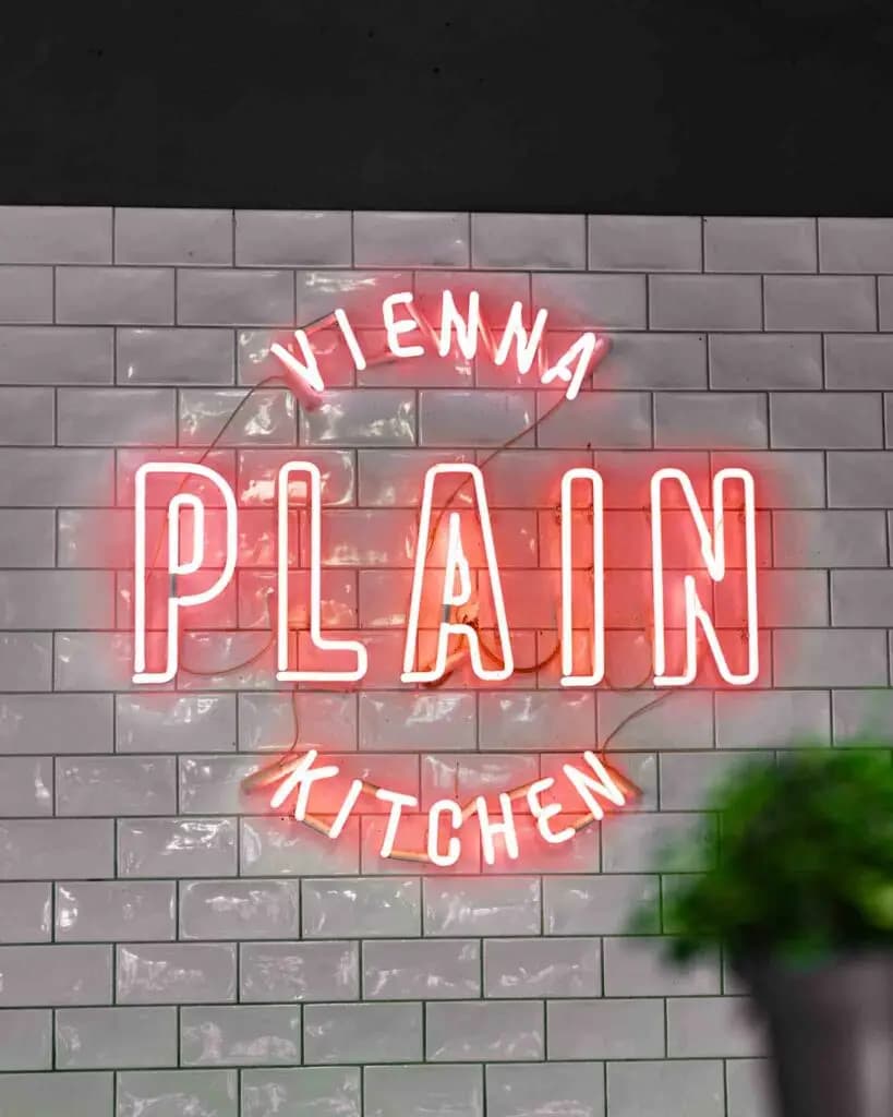 PLAIN Vienna dish 2