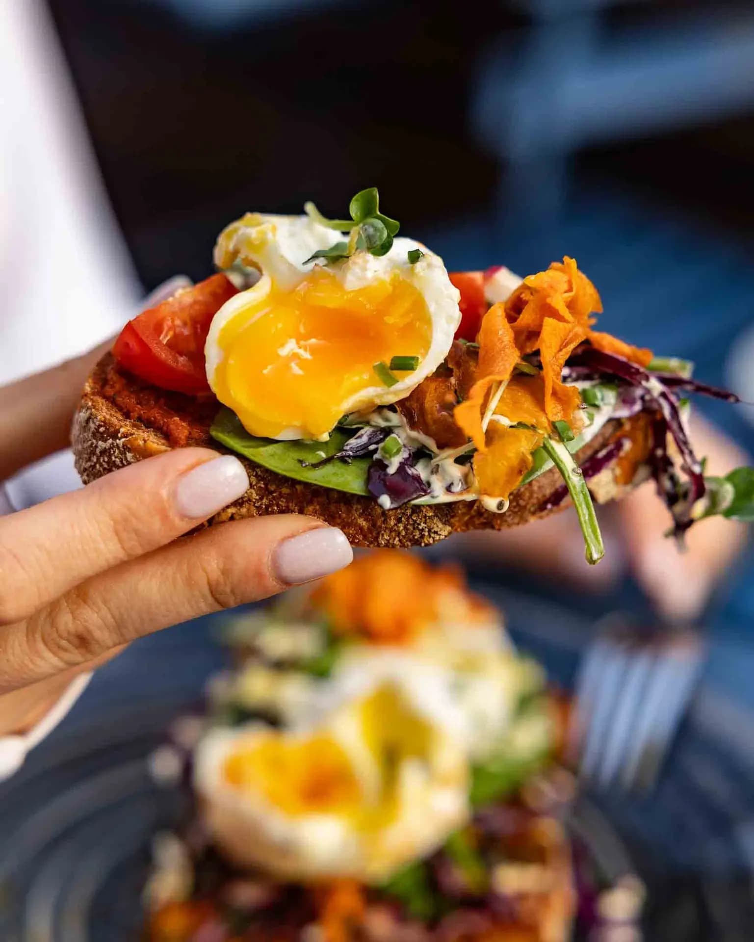 PLAIN Vienna - fresh avocado toast with poached egg