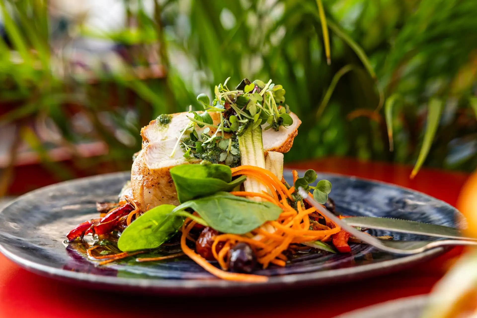 PLAIN Vienna - beautifully plated dish
