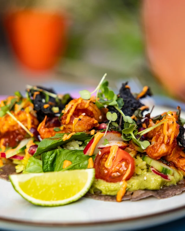 Holy guacamoly, it’s taco time🥑

Manchmal braucht’s nicht viel – außer einen Soft Taco, der alles richtig macht😮‍💨

Unsere King Prawn Tacos bringen genau die richtige Mischung aus juicy, spicy und fresh auf den Teller – und machen Schluss mit langweiligen Lunches🌶️🦐

Taco Tuesday ist bei uns jeden Tag😉

📍 PLAIN | Berggasse 25 | 1090 Wien

#plain #plainvienna #vienna #wien #tasty #healthy #vegan #veganfriendly #wheretoeatinvienna #foodlove #tacotuesdays #taco #viennaweekend #viennabrunch #foodtime #thefirstthought